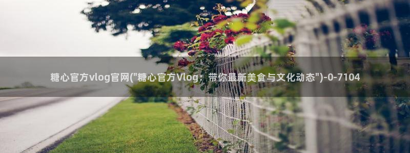 糖心视频vlog锅锅