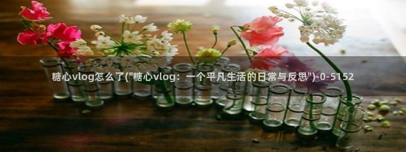 糖心vlog兔兔