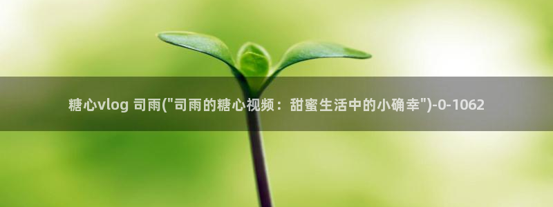 糖心vlog黄下载：